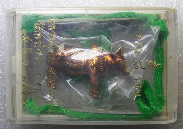 วัวมหามงคล 8 รอบ หลวงปู่ทิม วัดพระขาว