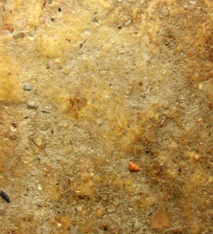 พระสมเด็จบางขุนพรหม พิมพ์ใหญ่ แบบตื้น วัดใหม่อมตรส ลงกรุ