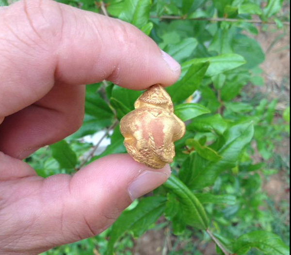 ลูกอมหนุมาน รุ่น 9 อริยะ 5 แผ่นดิน โดย หลวงปู่หมุน ฐิตสีโล ปลุกเสก ปี 2544