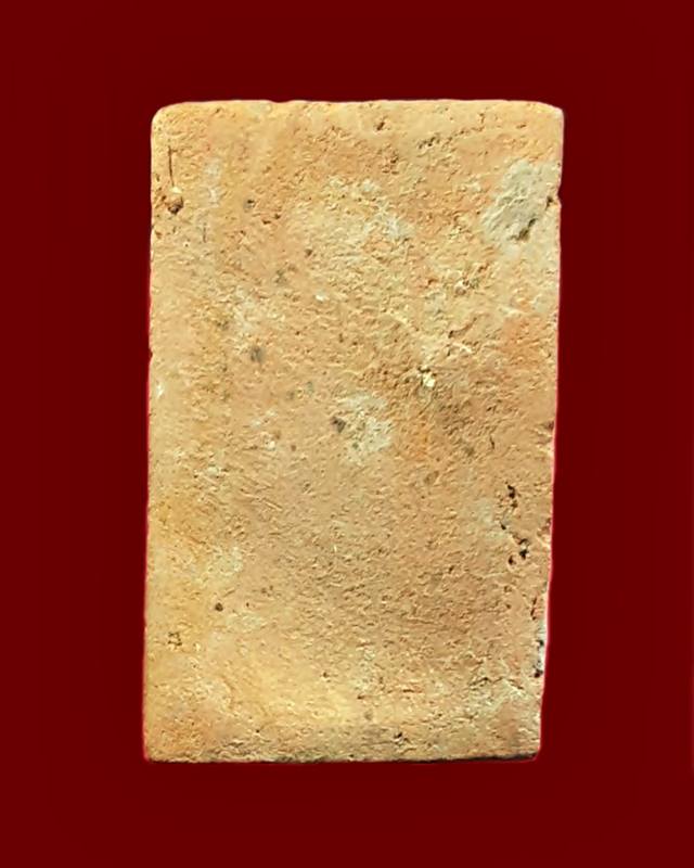 ดอกพุดเนื้อดิน หลวงพ่อยี วัดอภัยสุพรรณภูมิ (ดงตาก้อนทอง) จ.พิษณุโลก 3