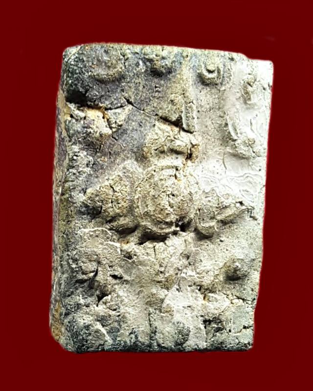 ดอกพุดเนื้อดิน หลวงพ่อยี วัดอภัยสุพรรณภูมิ (ดงตาก้อนทอง) จ.พิษณุโลก 2