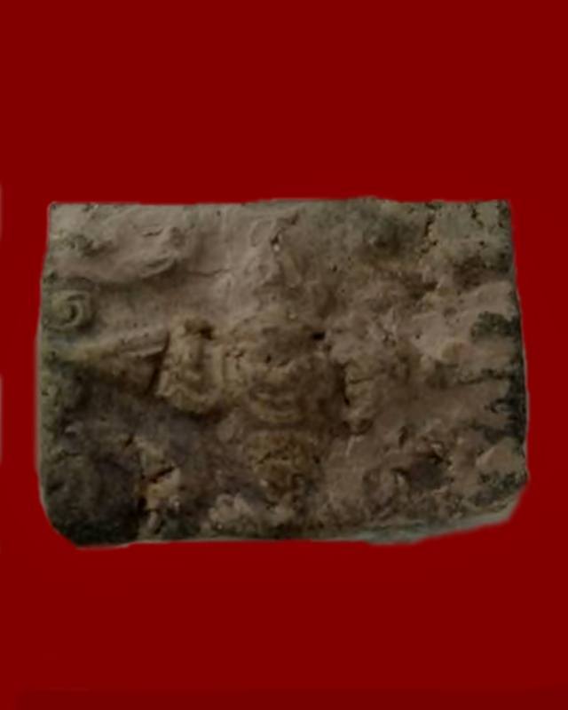 ดอกพุดเนื้อดิน หลวงพ่อยี วัดอภัยสุพรรณภูมิ (ดงตาก้อนทอง) จ.พิษณุโลก 2