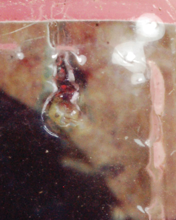 รูปถ่าย หลวงปู่โต๊ะ