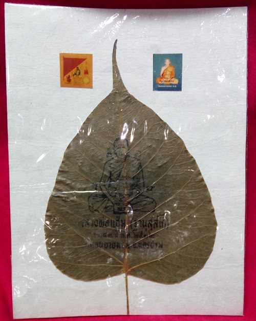 ใบโพธิ์ขนาดใหญ่ (5.5x9นิ้ว) ติดรูปสี 1นิ้ว ปี32 หลวงพ่อแช่ม วัดดอนยายหอม จ.นครปฐม