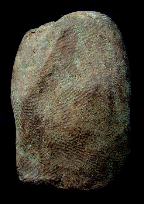 พระร่วงนั่ง สุโขทัย มาแบบเดิมๆจากกรุ