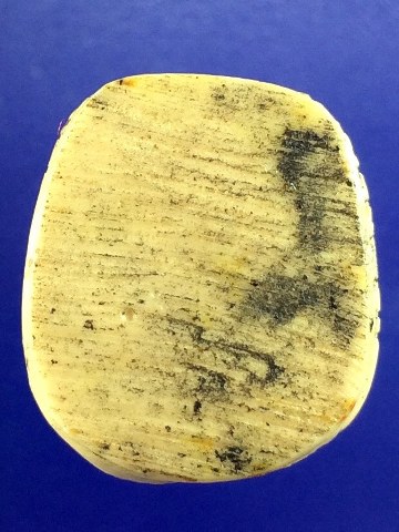 เสือเรซิ่นหลวงพ่อเปิ่น วัดบางพระ