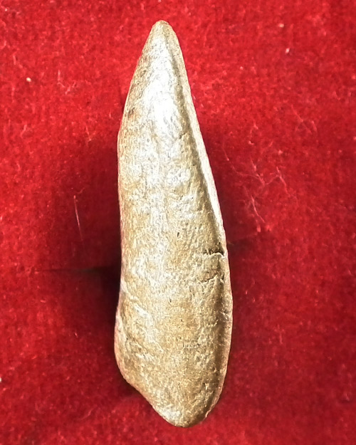  พระกำแพงกลีบบัว 