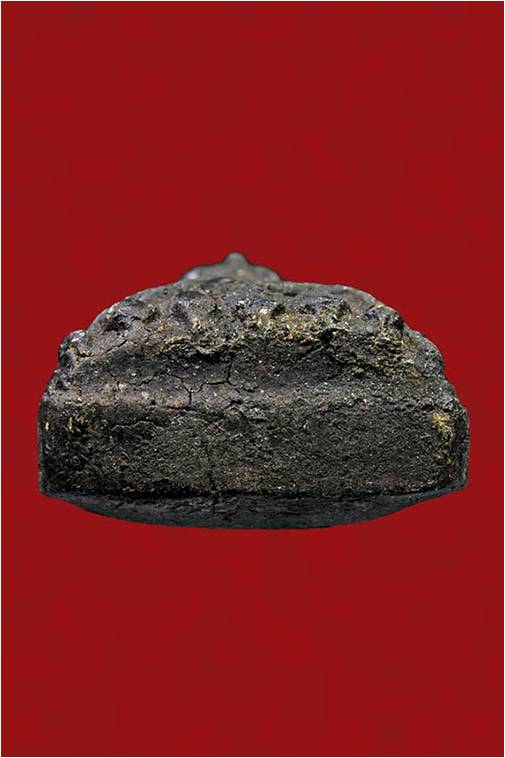 หลวงปู่ทวดเนื้อว่าปี 24 มาพร้อมบัตร