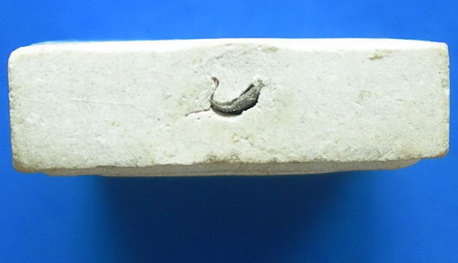 พระสมเด็จขาโต๊ะปรกโพธิ์หลวงปู่โต๊ะ วัดปรดู่ฉิมพลี ฝังตะกรุด....