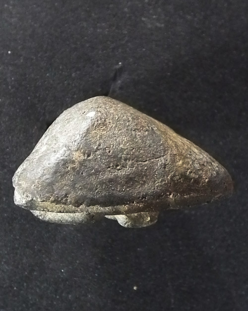 หลวงพ่อจง วัดปราสาทฯ ปี ๒๕๐๖ กรุงเทพ  