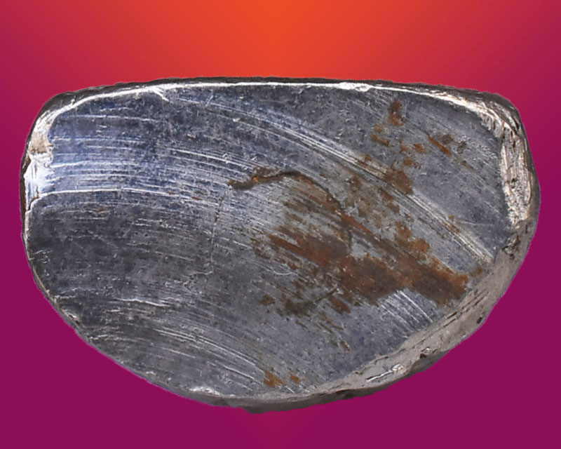 รูปเหมือนปั๊ม หลวงพ่อเขียน วัดถ้ำสำนักขุนเณรพิจิตร ปี ๒๕๑๖