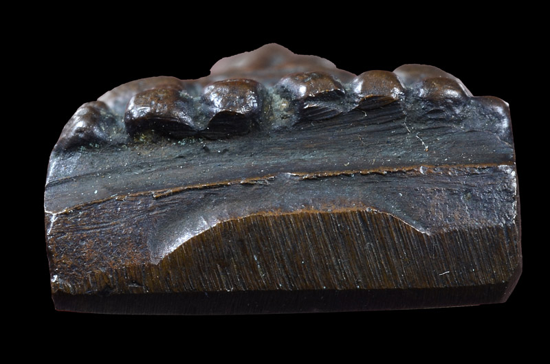 พระหลวงพ่อทวด วัดช้างให้ พิมพ์เตารีดเล็ก หน้าอาปาเช่ แข้งขีด ปี2505 