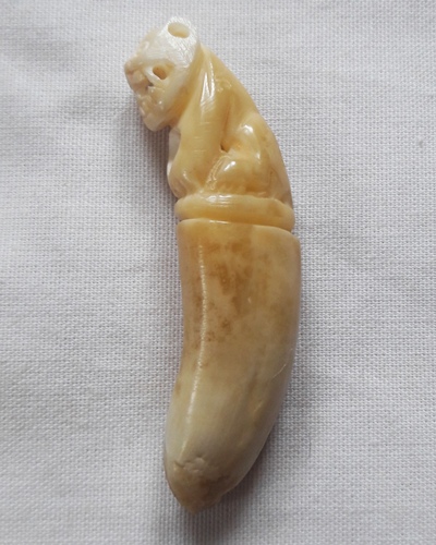 เคาะเดียว..เสือเขี้ยวหมู หลวงพ่อสิน วัดละหารใหญ่ หายาก