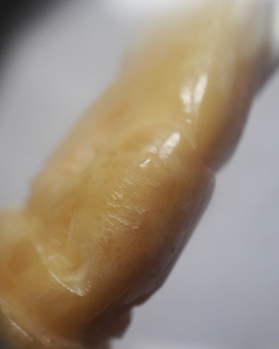 เคาะเดียว..เสือเขี้ยวหมู หลวงพ่อสิน วัดละหารใหญ่ หายาก