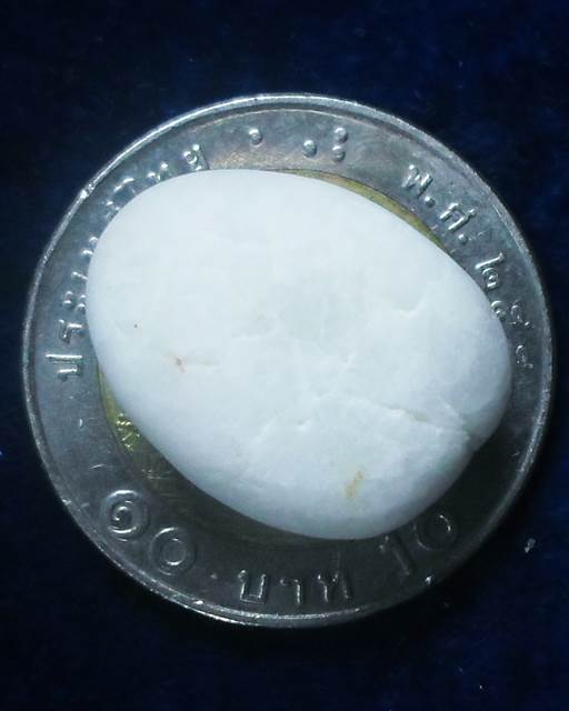 วัดธาตุมหาชัย นครพนม ปฐวีธาตุ(เม็ดสีขาว)หลวงปู่คำพันธ์ โฆษปัญโญ ขนาดความยาว 2 ซ.ม.