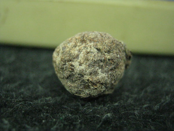 รูปถ่าย,ชานหมาก,ปลาตะเพียน ชุดสุดคุ้ม หลวงปู่ทิม วัดพระขาว