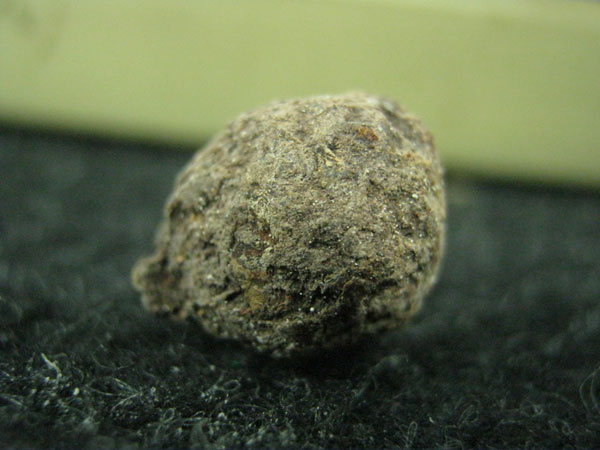 รูปถ่าย,ชานหมาก,ปลาตะเพียน ชุดสุดคุ้ม หลวงปู่ทิม วัดพระขาว