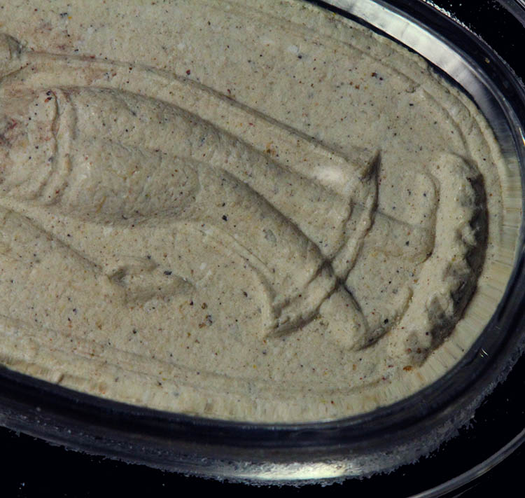 พระทุ่งเศรษฐีหลวงพ่อสาคร หลังยันต์นะเศรษฐี เนื้อขาว ปี2530(12)