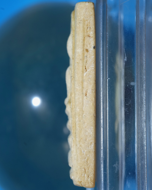 พระสมเด็จ วัดระฆังฯ รุ่น 108ปี เนื้อผง พิมพ์ใหญ่(แขนจุดB/ขอบพระเกือบหนามี2ชั้น) ปี2523 มีตรายาง2.ธ19