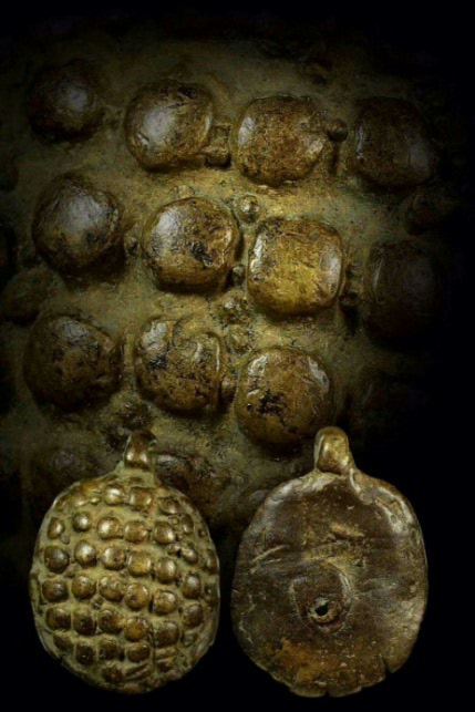 เต่าเรือนหลวงพ่อเงิน วัดบางคลาน มีบัตรเพื่อนบ้าน