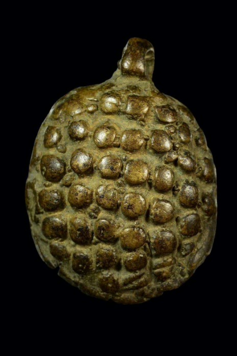 เต่าเรือนหลวงพ่อเงิน วัดบางคลาน มีบัตรเพื่อนบ้าน