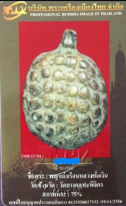 เต่าเรือนหลวงพ่อเงิน วัดบางคลาน มีบัตรเพื่อนบ้าน