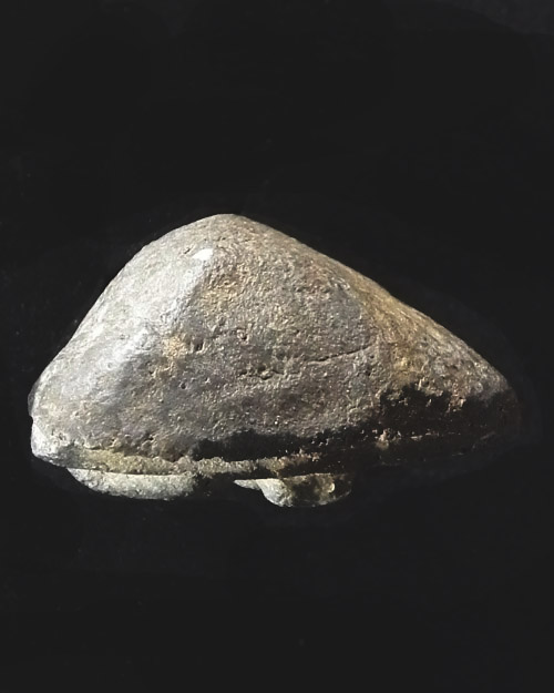 พระผง วัดปราสาทฯ พิมพ์หลวงพ่อจง วัดหน้าต่างนอก   ปี ๒๕๐๖ กรุงเทพ