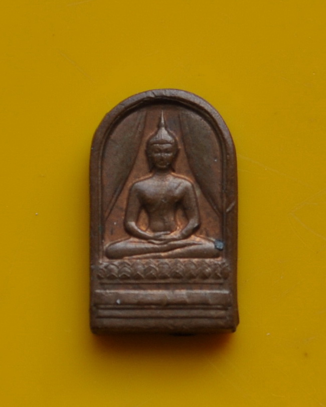 ปรกใบมะขาม 50 ปี ธรรมศาสตร์