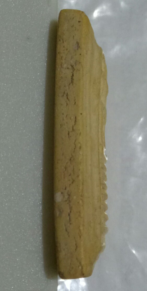 สมเด็จวัดเกศไชโย รุ่นสร้างเขื่อน 2495 เนื้อขาว