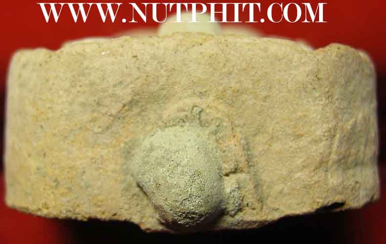 พระปัจเจกพุทธเจ้าประทับสัตว์ ลพ.ฤาษีลิงดำ วัดท่าซุง ทรงไก่ เนื้อดิน แพ็คคู่ 2 องค์*22