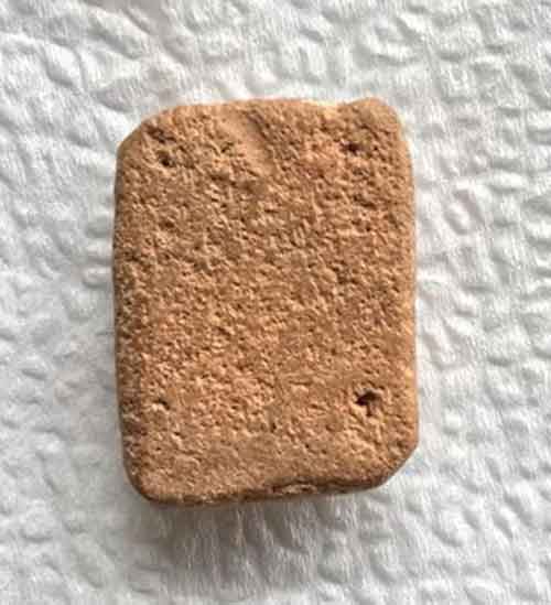 หลวงพ่อปาน พิมพ์ขี่นก สภาพสวย