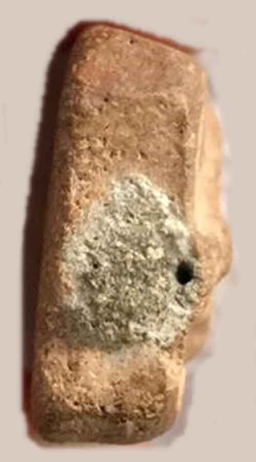 หลวงพ่อปาน พิมพ์ขี่นก สภาพสวย