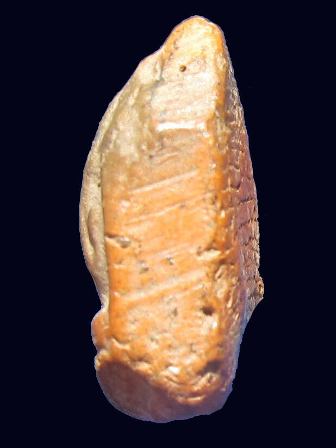 พระปิดตาหลวงพ่อเงิน วัดบางคลาน เนื้อดิน สภาพสวย มาพร้อมใบประกาศรางวัลที่ 1