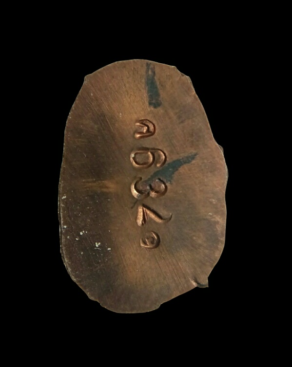 ปรกมะขาม ไม่ตัดปีก หลวงพ่อสาคร เนื้อทองแดงผิวไฟ ปี 2548