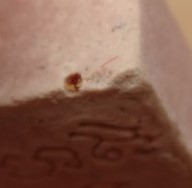 พระสมเด็จสัมพุทเธ หลวงพ่อเล็ก วัดท่าขนุน หายาก มวลสารมากครับ เคาะเดียว