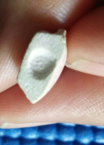 พระผงเจ้าคุณนร รุ่นแดนดารา. ปี13. วัดเทพศิรินทร์. องค์2