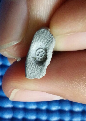 พระผงเจ้าคุณนร รุ่นแดนดารา. ปี13. วัดเทพศิรินทร์. องค์3