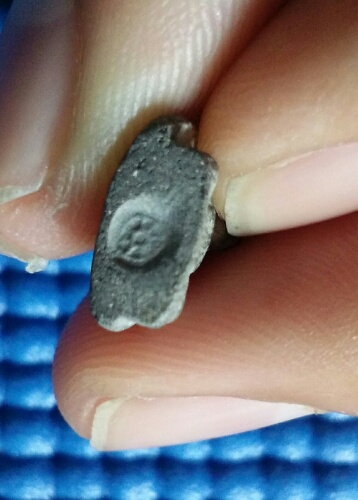 พระผงเจ้าคุณนร รุ่นแดนดารา. ปี13. วัดเทพศิรินทร์. องค์4