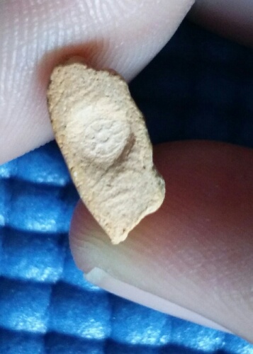 พระผงเจ้าคุณนร รุ่นแดนดารา. ปี13. วัดเทพศิรินทร์. องค์5