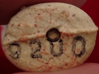 หนุมานชินะฤทธิ์เนื้อผงพรายกุมารตะกรุดทองแดง หลวงปู่บัววัดศรี บูรพาราม เสก ปี 53 เ คาะเดียว