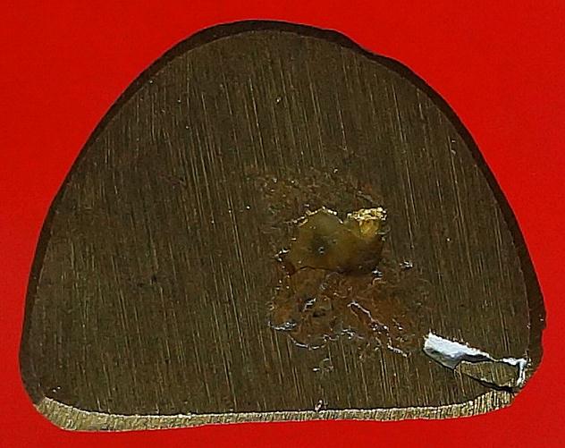 รูปเหมือนหลวงพ่อแช่มวัดดอนยายหอมไม่ทราบปี