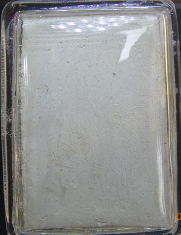 พระสมเด็จเนื้อผงพิมพ์พระครูมูล วัดประสาทบุญญาวาส กรุงเทพฯ ปี ๒๕๐๖ 