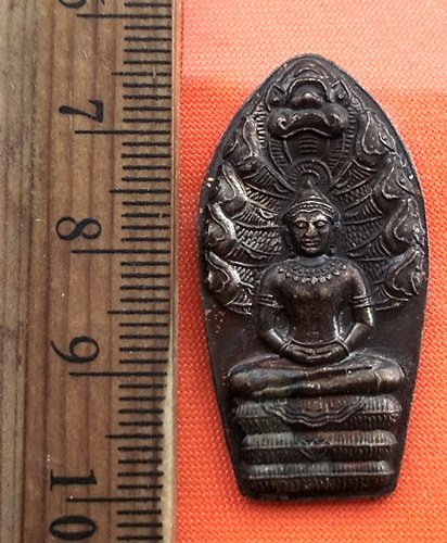 เริ่ม 10 บาท กับ เหรียญนาคปรกไม่ทราบที่ ด้านหลังมีคำว่า "พริบพรี". ..CT134