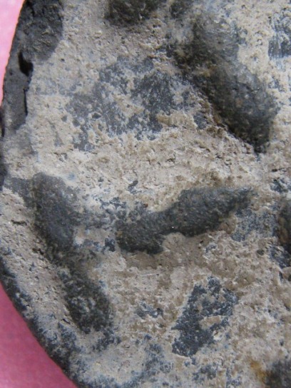 พระงบน้ำอ้อย เนื้อดิน กรุเตาทุเรียง จ.สุโขทัย