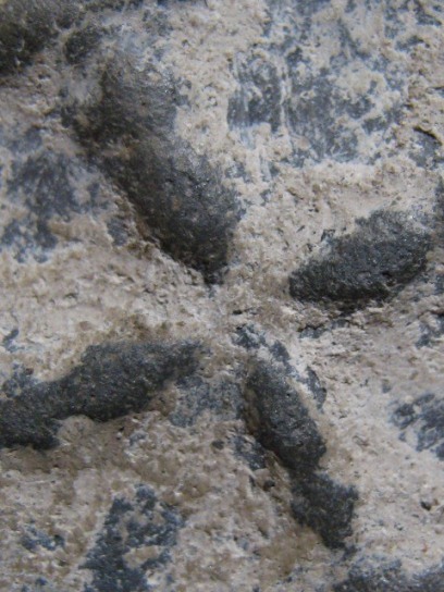 พระงบน้ำอ้อย เนื้อดิน กรุเตาทุเรียง จ.สุโขทัย