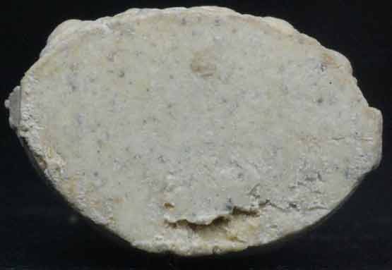 พระกริ่งชินบัญชร เนื้อผงพรายกุมาร มูลนิธิหลวงปู่ทิม สร้างปี 2538 (2)