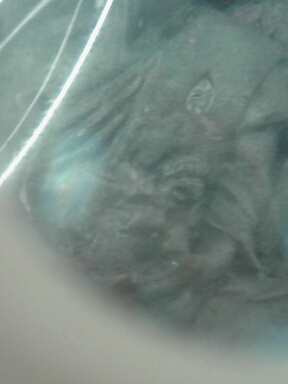 เหรียญหล่อโต๊ะหมู่ รุ่น๑ หลวงปู่สนธิ์ เขมิโย