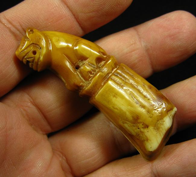 เขี้ยวเสือ แกะเสือ พุทธศิลป์งดงาม ขนาดความยาวประมาณ 5.2 เซนติเมตร