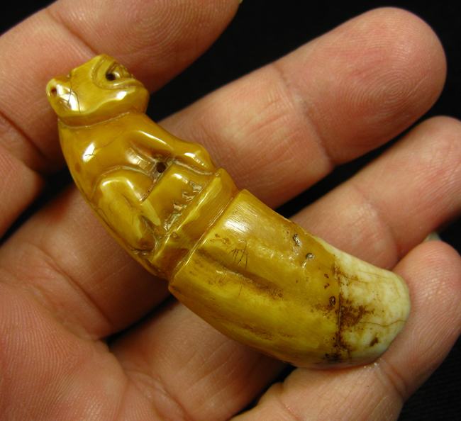 เขี้ยวเสือ แกะเสือ พุทธศิลป์งดงาม ขนาดความยาวประมาณ 5.2 เซนติเมตร