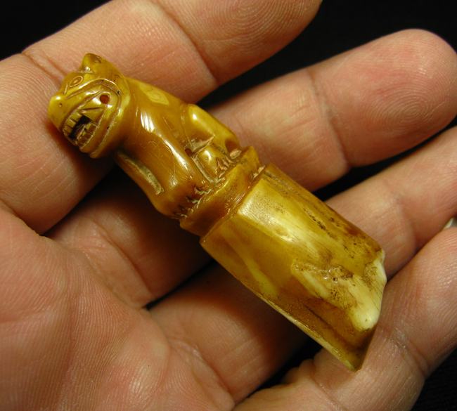 เขี้ยวเสือ แกะเสือ พุทธศิลป์งดงาม ขนาดความยาวประมาณ 5.2 เซนติเมตร